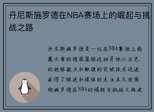 丹尼斯施罗德在NBA赛场上的崛起与挑战之路